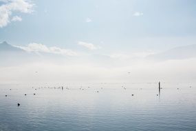 white sky over a quiet lake