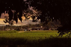 Landscape of the beautiful and colorful countryside behind tree branches in Republic of Korea