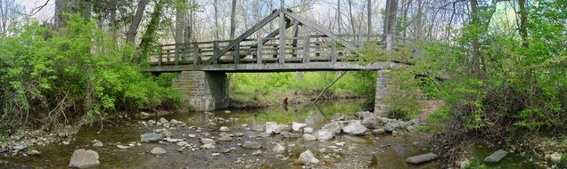 small wooden bridge over a forest stream