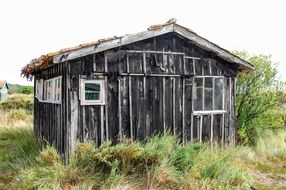 old wooden shed on the island of oleron, france
