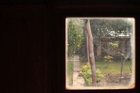garden view through the window