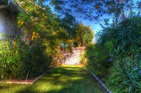 wooden gate to the green garden