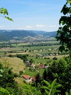 black forest landscape