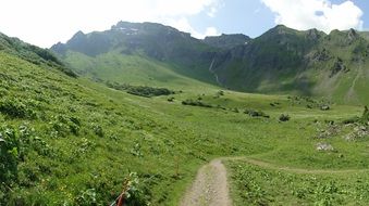 walk path in scenic mountain valley, switzerland