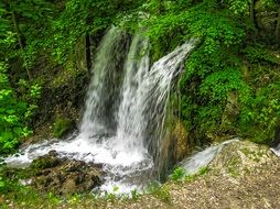 small waterfall in the forest
