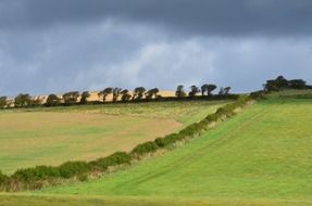 isle of wight fields
