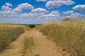 path in field cloud sky view