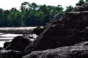 Rocks on a beach in Oleron