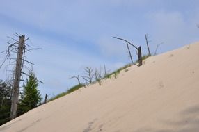 dune on the coast of the baltic sea