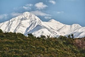 snow-capped mountains behind the forest