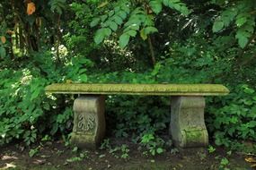 beautiful bench made of stone in nature