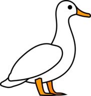 goose drawing on a transparent background