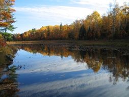 Landscape with the colorful trees and the lake