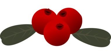 Red rowan berries clipart