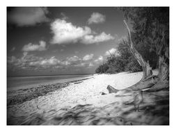 Black and white photo of Heron Island