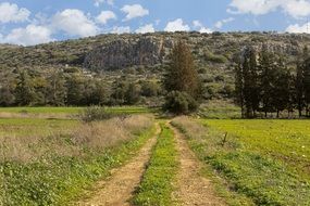 photo of a rural road