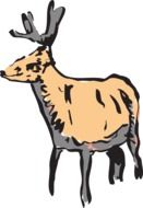 Ä°llustration of wild antler deer