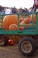 orange pumpkin in the green wagon