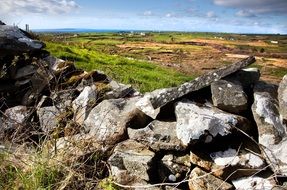 Beautiful coastline stone fencing among the colorful plants in Ireland