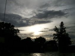 twilight over the trees in the countryside