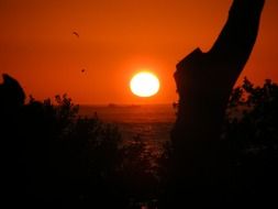 beautiful view of the sunset over ocean in Florida