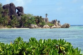 tropics near the cliff on the beach