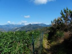 ligurian mountain trail