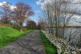 bike path in a park in westport in the shade of trees