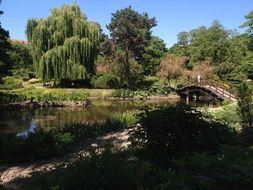 wooden bridge over the pond in a park in Poland