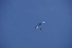 skydiving parachutist