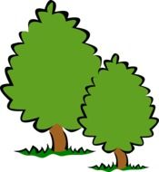 Two green trees at white background as a graphic illustration