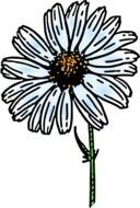daisy flower plant painted