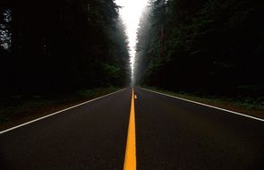 Landscape with the asphalt road