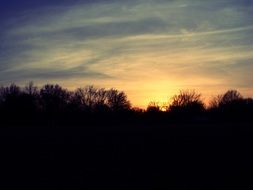 golden sunset forest landscape
