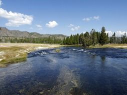 scenic yellowstone river in wilderness, usa, wyoming