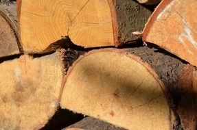 A lot of the wood