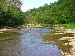 clean river in forest at summer, poland