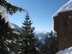 Icicles on the house and snow on the trees, alps, france