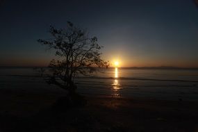 bright sunset landscape silhouette
