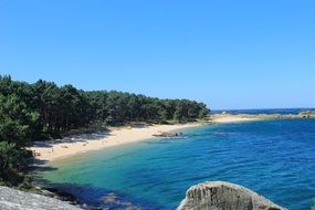 landscape of island with green trees and white sand on the beach