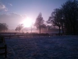 winter landscape in the rays of sunlight