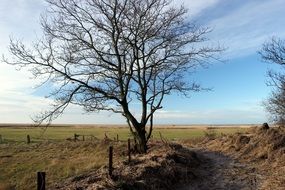 the nature of the North Sea