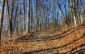 Bubbler State Park in the fall