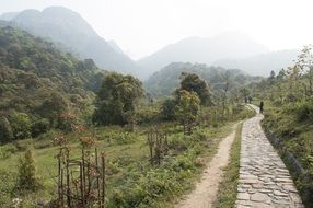 stone walkway along a field in Vietnam