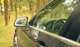 Mercedes auto in a forest