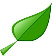 ecological leaf