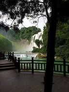 Tree on a background of a huangguoshu waterfall, china, guiyang
