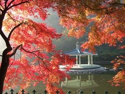 gazebo on the water through the red maple leaves