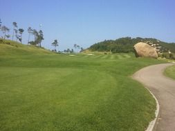 golf green course