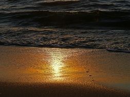 beach sea shoreline